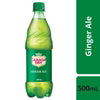 Canada Dry - Plastic Bottle