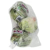 Iceberg Lettuce (Pack of 24 )