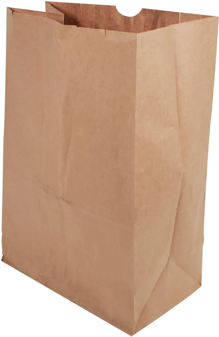Kraft Brown Paper Bags (12 x 7 x 17)