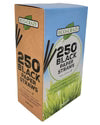 Eco-Craze - 8" Black Paper Straw - 8 mm