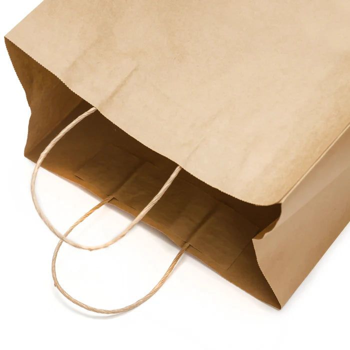 Kraft Paper Bags With handle (10 x 5 x 13)